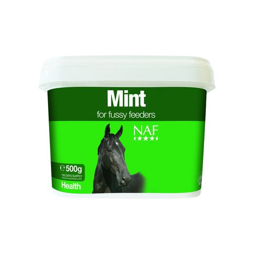 NAF Mint - 500 GM