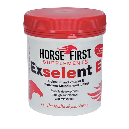 Horse First Exselent E