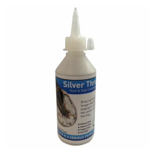 Silver Thrush