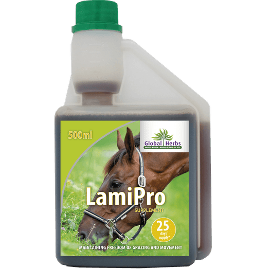 Global Herbs LamiPro Digestive Supplement