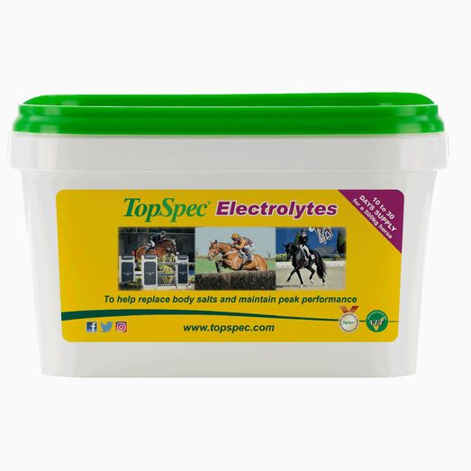 Topspec Electrolytes High Salt Formula