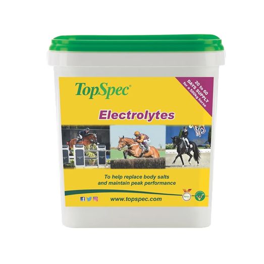 Topspec Electrolytes High Salt Formula