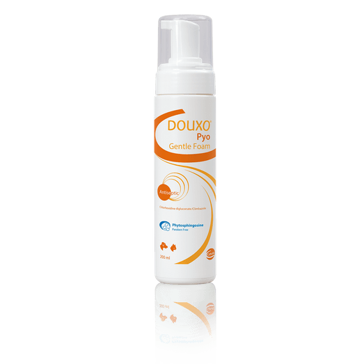 Ceva Douxo Pyo Gentle Foam For Dogs/Cats