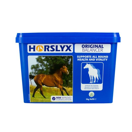 Horslyx Original Balancer Lick