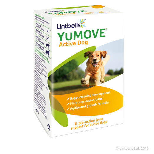 Lintbells Yumove Active Dog Tablets