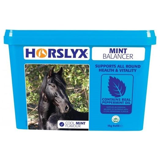 Horslyx Balancer Lick Mint