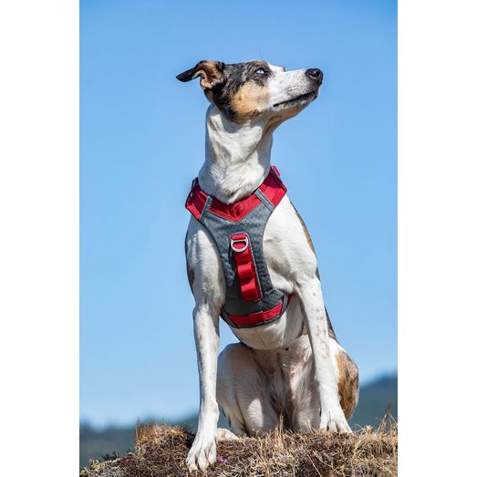 Kurgo Journey Air Harness Red