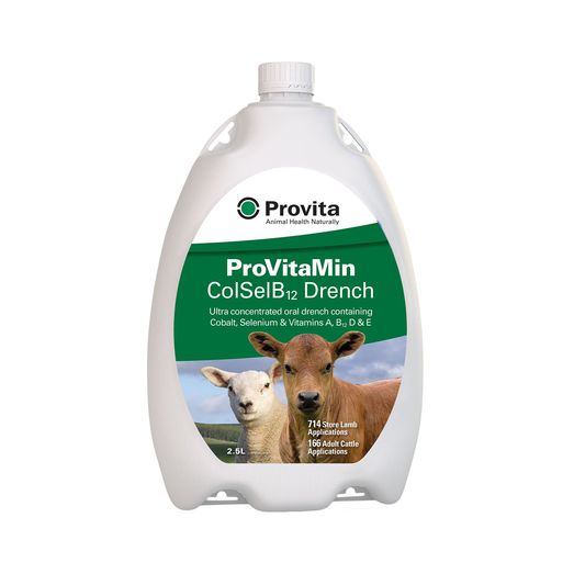 Provita Provitamin ColSelB12 Drench