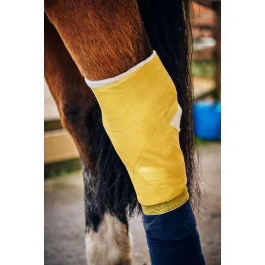 Robinsons Equiwrap Bandage