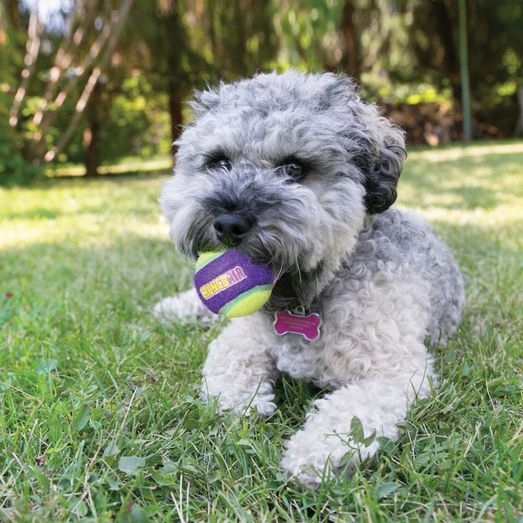 KONG Crunchair Balls For Dogs