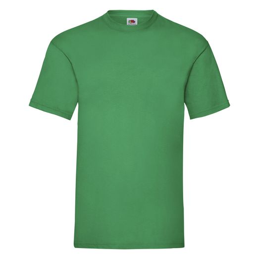 Fruit Of The Loom Men's Valueweight T-Shirt Kelly Green