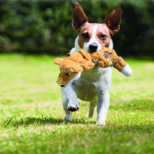 KONG Scrunch Knots Dog Toy