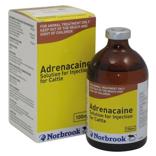 Norbrook Adrenacaine Anaesthetic Solution