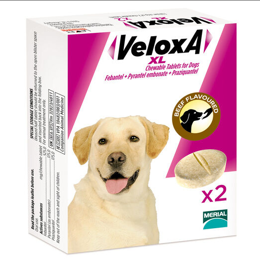 VeloxA XL Chewable Worming Tablets For Dogs