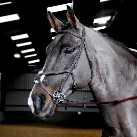 Whitaker Ready To Ride Mexican Bridle Havana