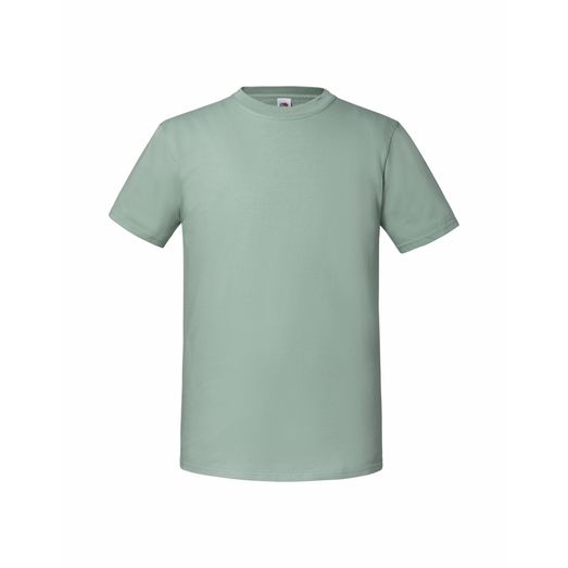 Fruit Of The Loom Men's Iconic 195 Ring Spun Premium T Sage