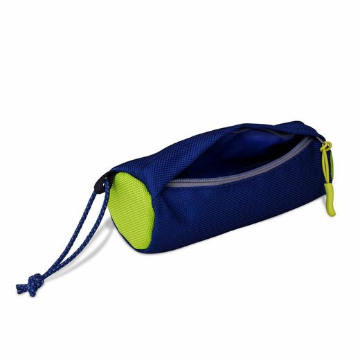 Coachi Fetch &amp; Reward Training Toy
