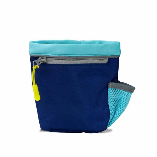 Coachi Train &amp; Treat Bag