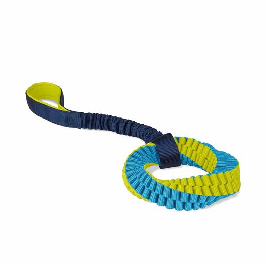 Coachi Helix For Dog Training