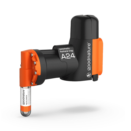 Goodnature A24 Humane Rat Trap Starter Kit