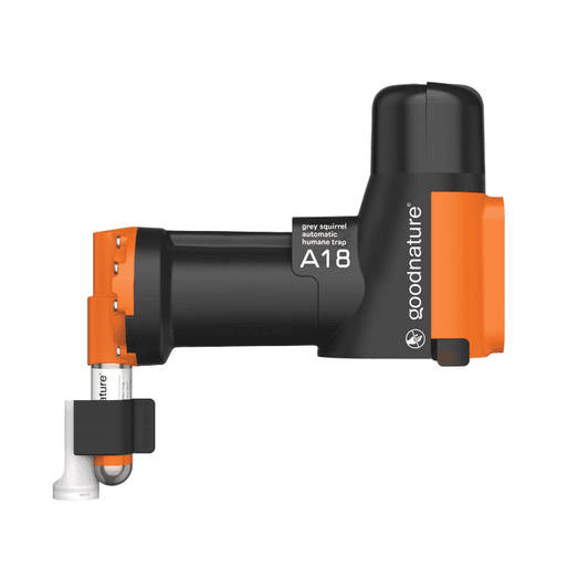 Goodnature A18 Humane Grey Squirrel Trap Kit