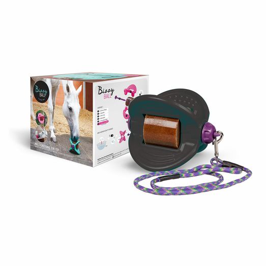 Bizzy Horse Bizzy Ball Stable Toy