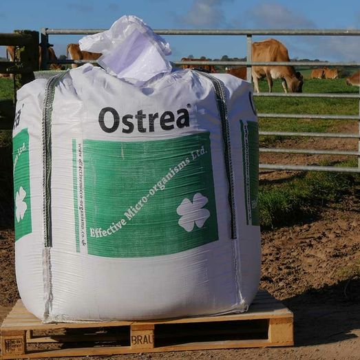 Agriton Ostrea Oyster Flour 1000kg
