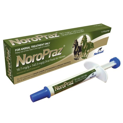 Noropraz Oral Paste For Horses