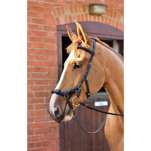 Equilibrium Net Relief Anatomic Muzzle Nets Black