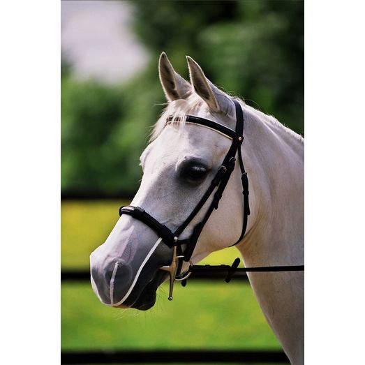 Equilibrium Net Relief Cavesson Muzzle Nets White