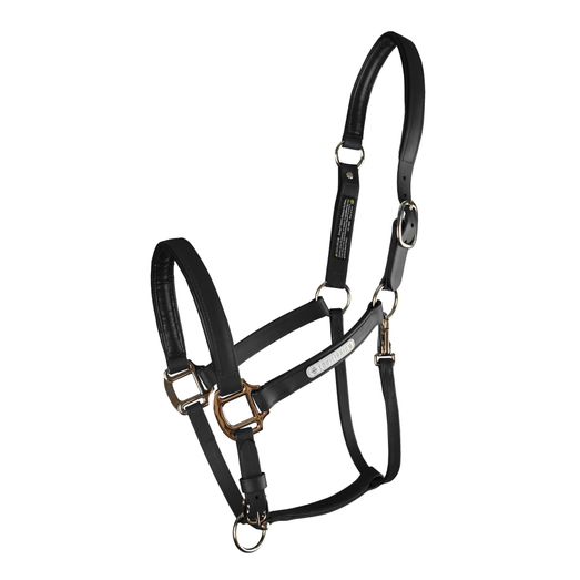Equilibrium Stellar All Weather Headcollar Black