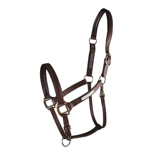 Equilibrium Stellar All Weather Headcollar Brown