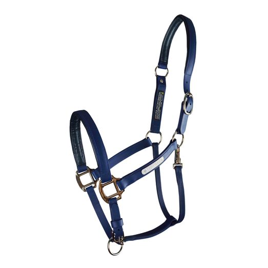 Equilibrium Stellar All Weather Headcollar Navy