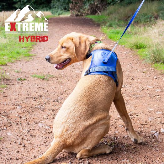 Ancol Extreme Hybrid Harness Aqua Blue