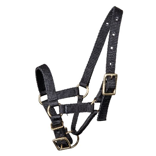 Waldhausen Black Alpaca Halter