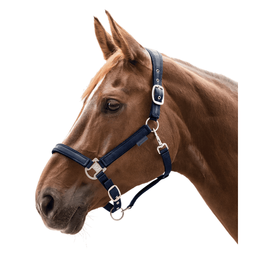 Waldhausen Athletic Night Blue/Taupe Halter