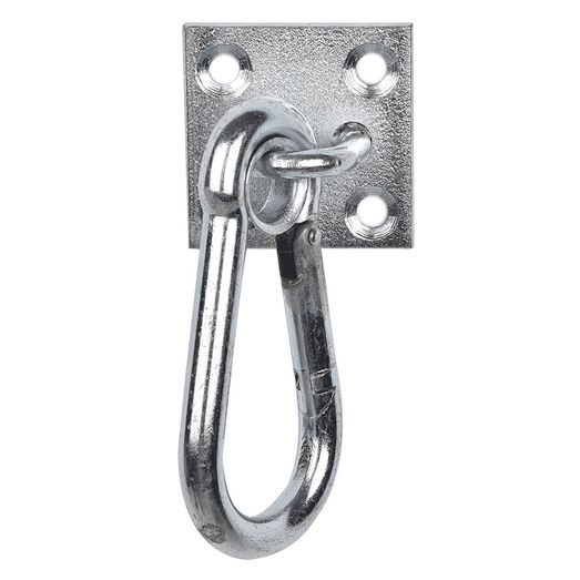 Stubbs Carabiner Hook On Wall Plate