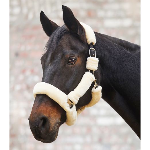 Waldhausen Cozy Halter Black
