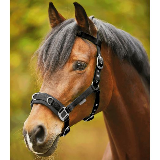 Waldhausen Economic Lunging Halter Black