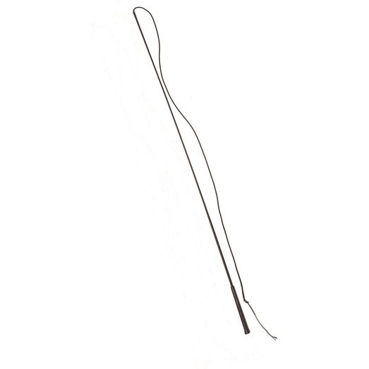 Equi-Sential Economy Lunge Whip Black