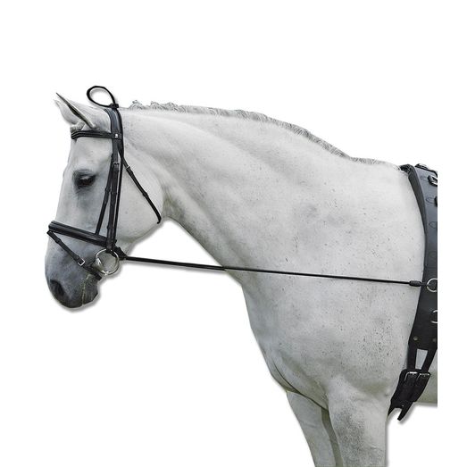 Waldhausen Elastic Training Rein Black