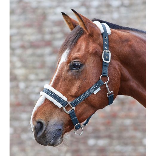 Waldhausen Elegant Night Blue Halter