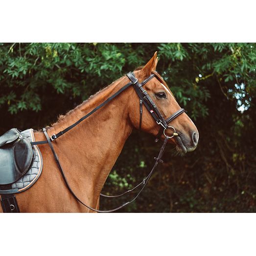 EquiSential Anti-Grazing Reins Black
