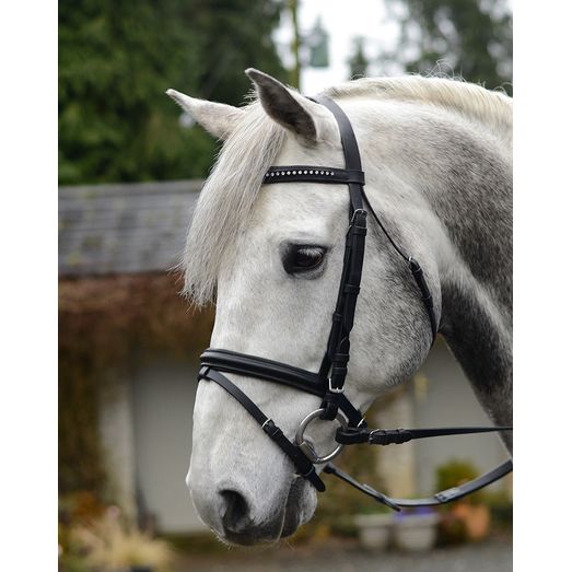 Equisential Bling Leather Bridle Black