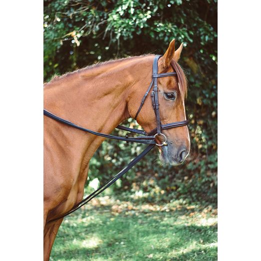 EquiSential Padded Draw Reins Black
