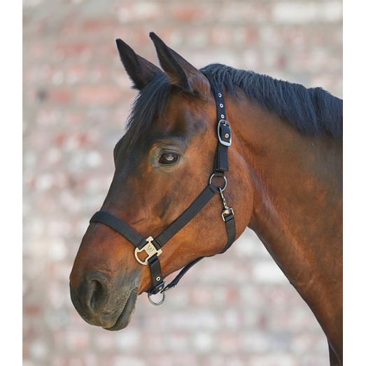Waldhausen Gloomy Halter in Black