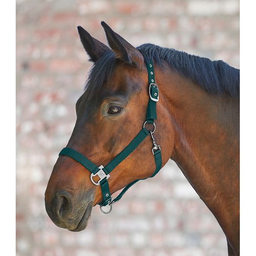 Waldhausen Gloomy Halter Fir Green