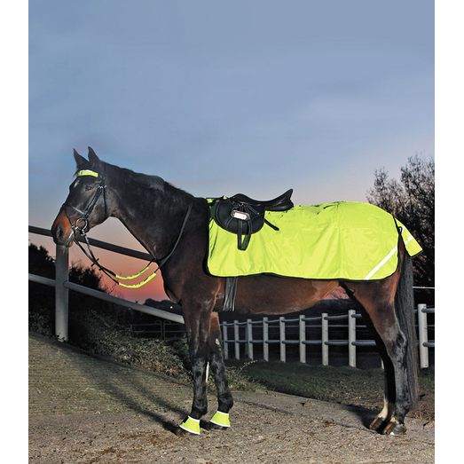 Waldhausen Hi-Viz Exercise Sheet Neon Yellow