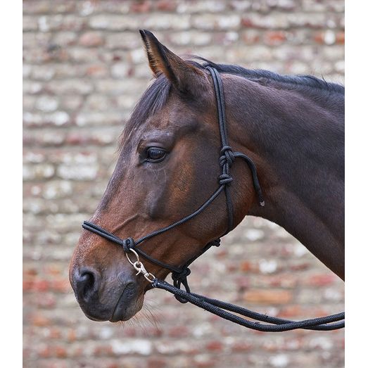 Waldhausen Knotted Halter with Reins Black