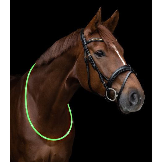 Waldhausen Horse LED Neck Strap Light